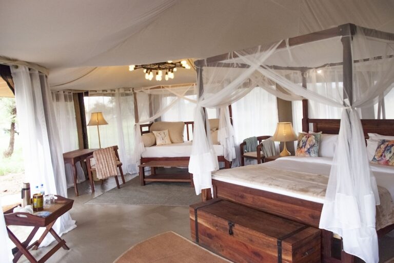 Best Glamping Hotels for Honeymooners: A Forensic Audit