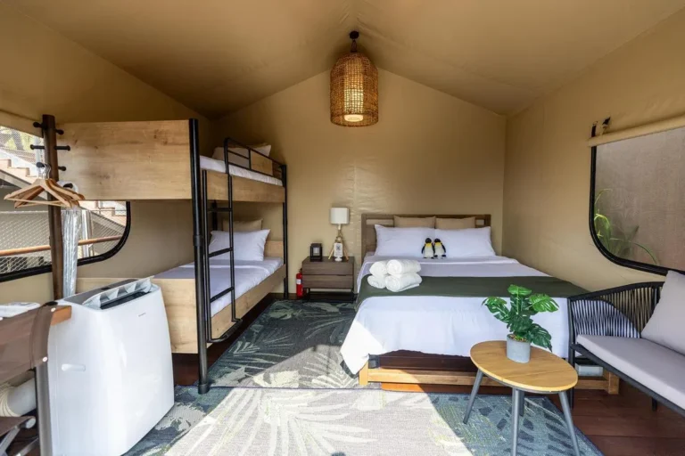 How to Avoid Glamping Hotels Wildlife Risks: A Definitive Operational Guide